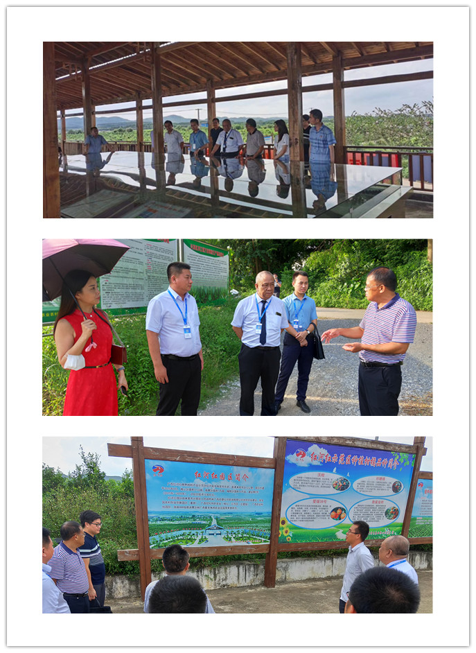 首页-PA集团有限公司官网入口