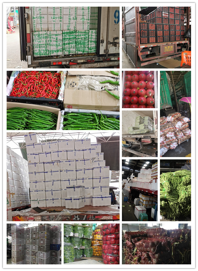 首页-PA集团有限公司官网入口