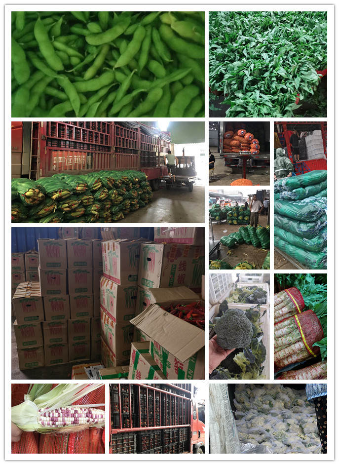 首页-PA集团有限公司官网入口