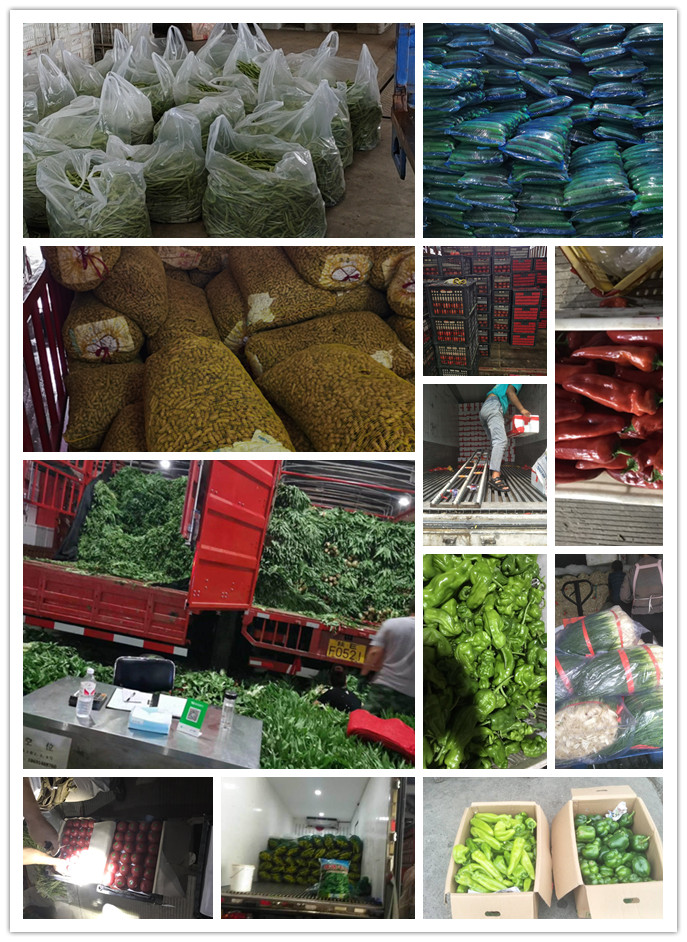 首页-PA集团有限公司官网入口