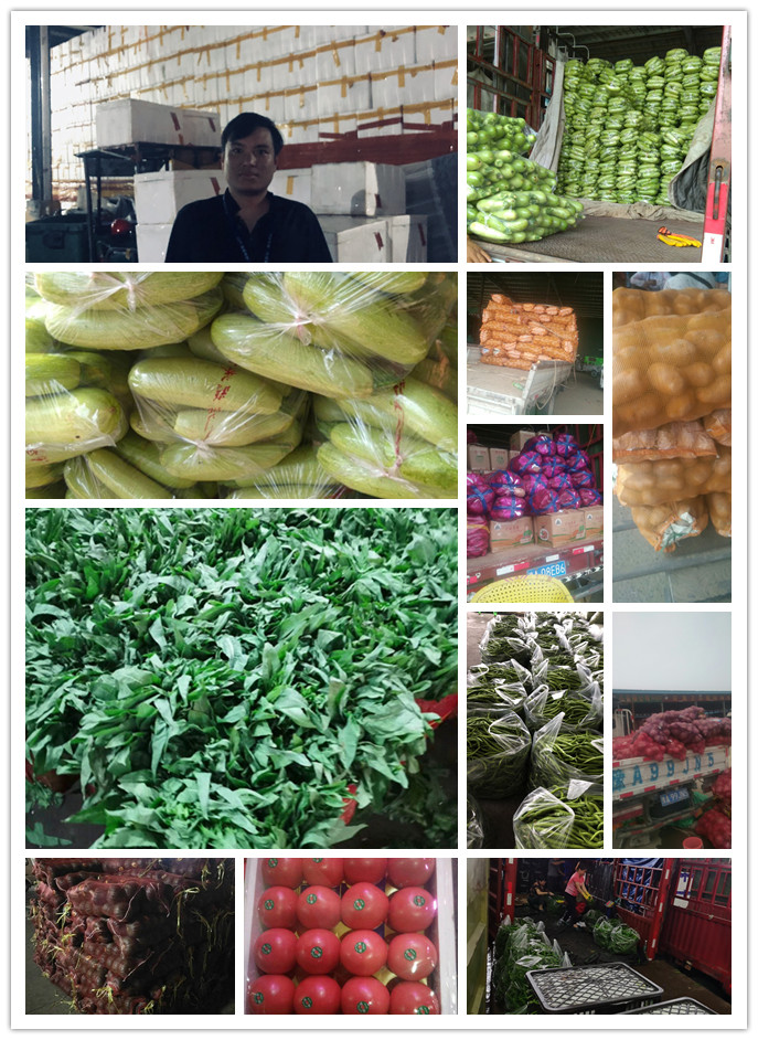 首页-PA集团有限公司官网入口