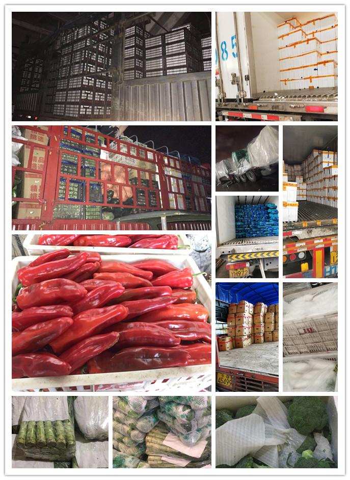 首页-PA集团有限公司官网入口