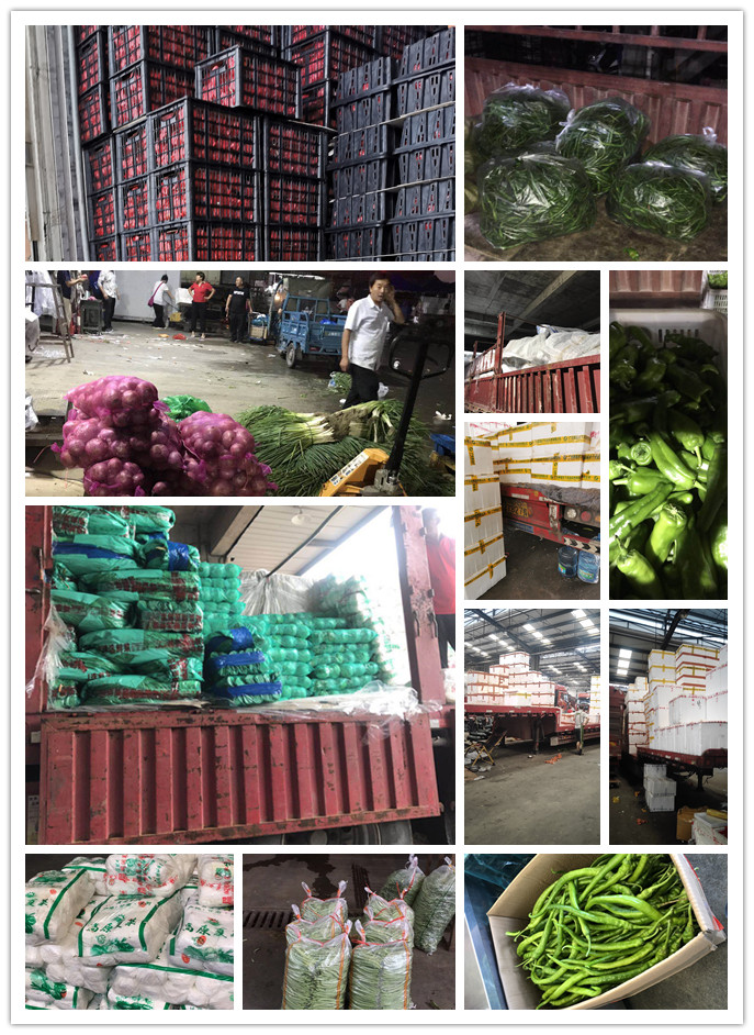 首页-PA集团有限公司官网入口