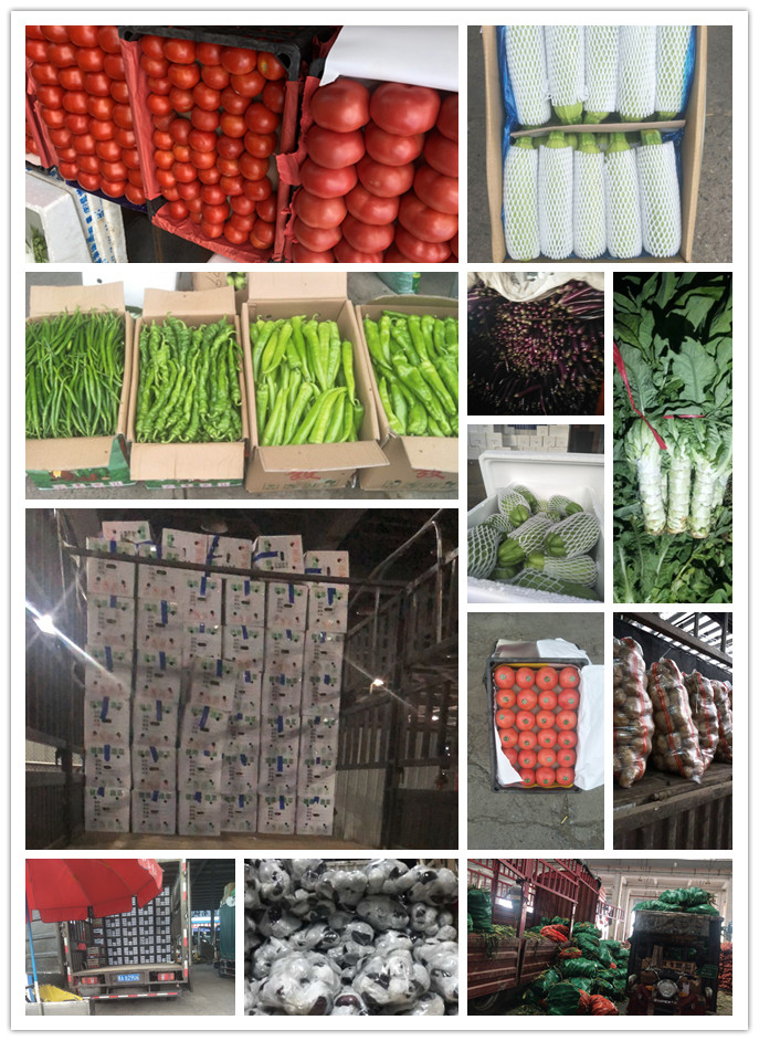 首页-PA集团有限公司官网入口