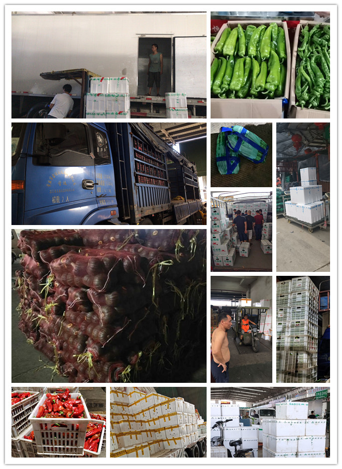 首页-PA集团有限公司官网入口