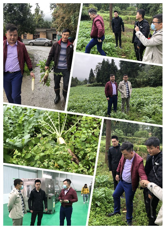 首页-PA集团有限公司官网入口