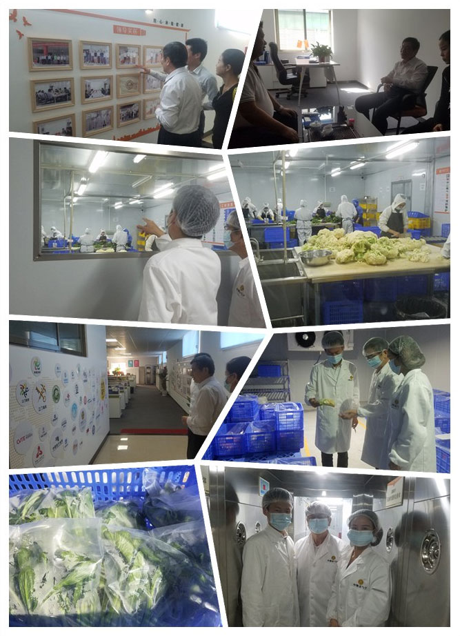 首页-PA集团有限公司官网入口