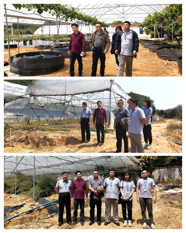 首页-PA集团有限公司官网入口