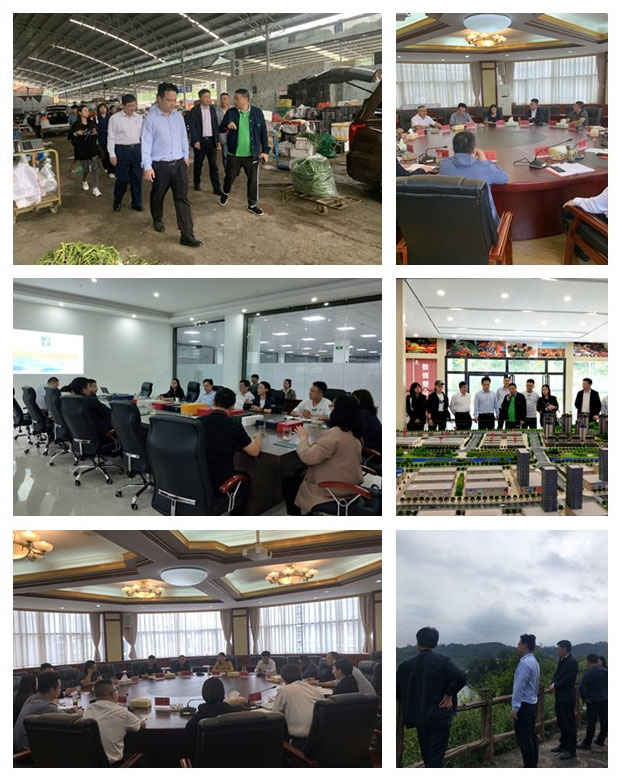 首页-PA集团有限公司官网入口