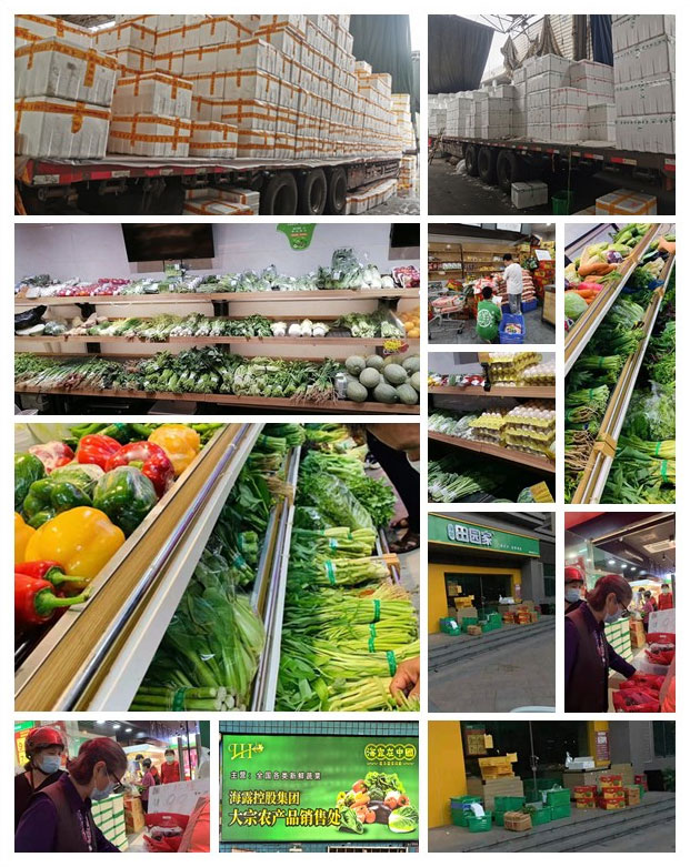 首页-PA集团有限公司官网入口