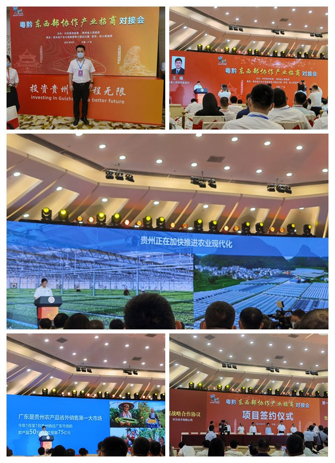 首页-PA集团有限公司官网入口