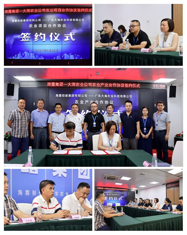 首页-PA集团有限公司官网入口