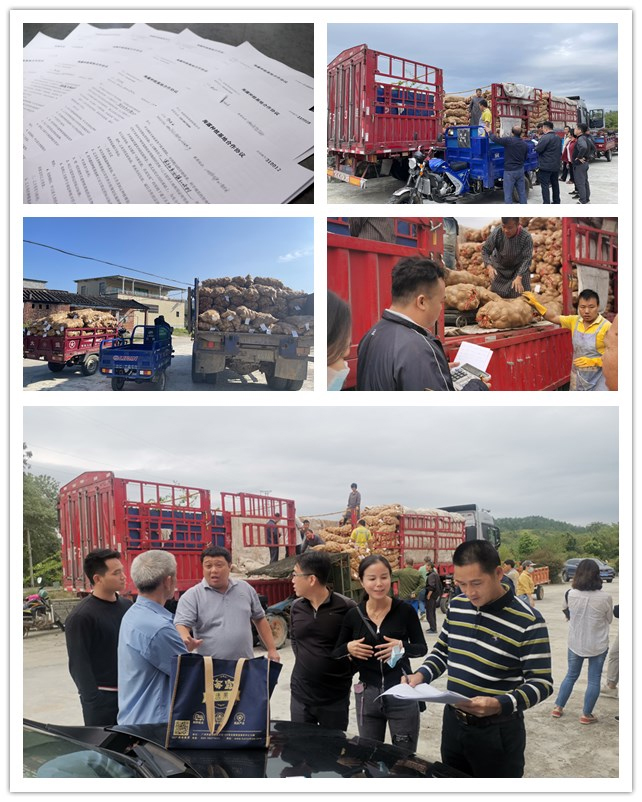 首页-PA集团有限公司官网入口