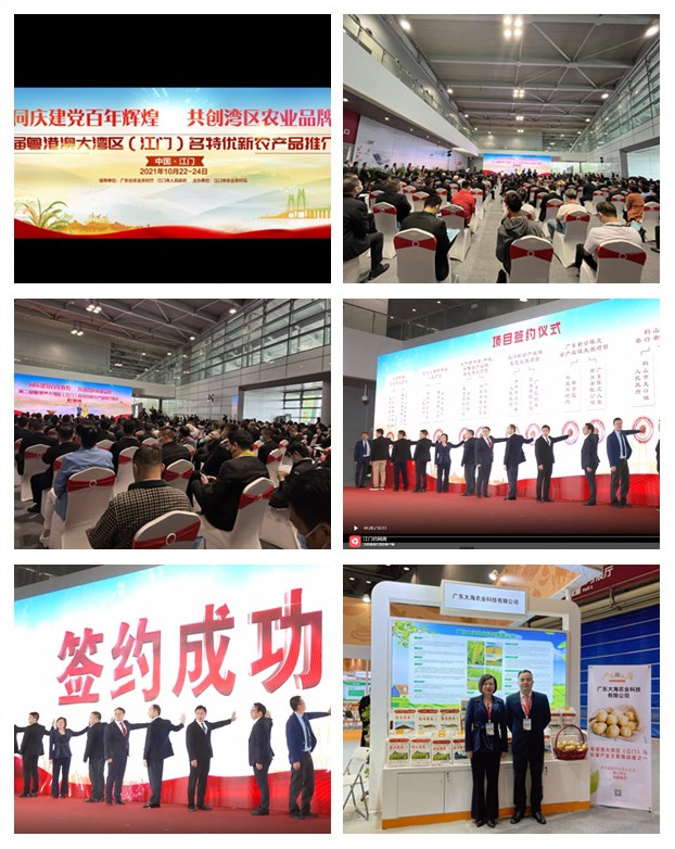 首页-PA集团有限公司官网入口