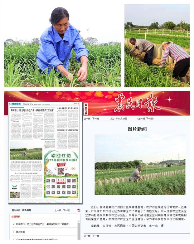 首页-PA集团有限公司官网入口