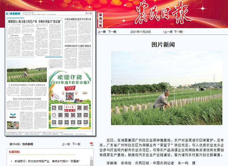 首页-PA集团有限公司官网入口