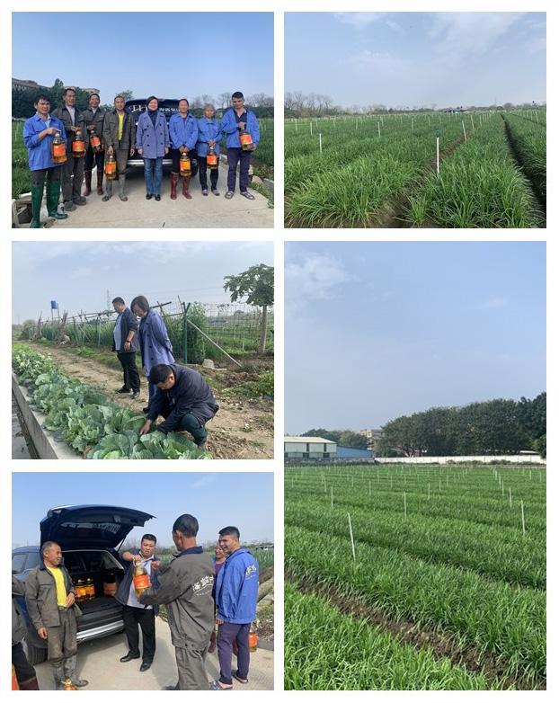 首页-PA集团有限公司官网入口