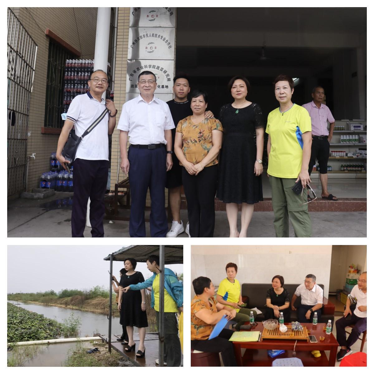 首页-PA集团有限公司官网入口