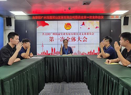 凝聚青春奋斗力量，集团团支部正式成立！