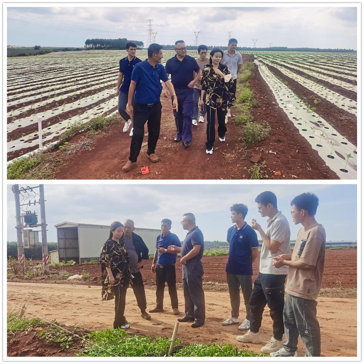 首页-PA集团有限公司官网入口