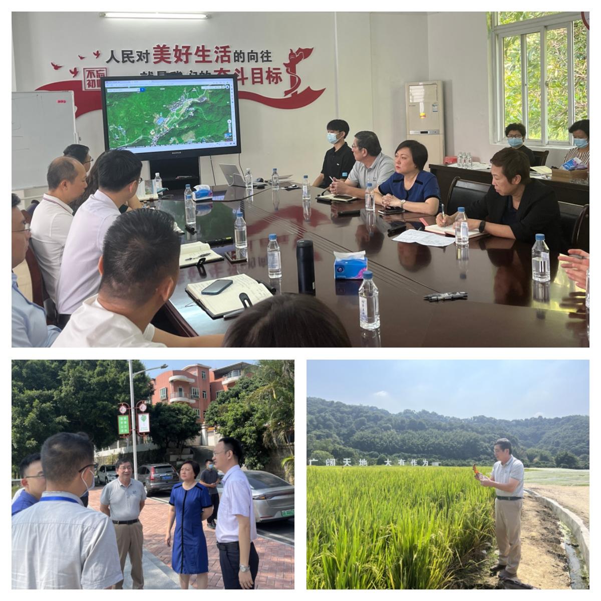 首页-PA集团有限公司官网入口