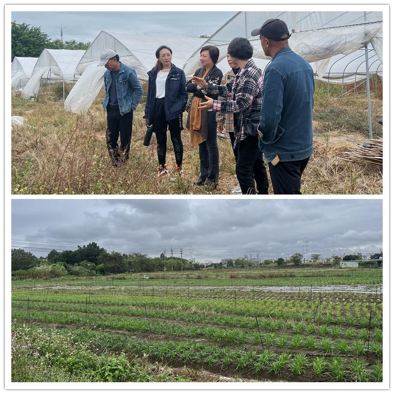 首页-PA集团有限公司官网入口