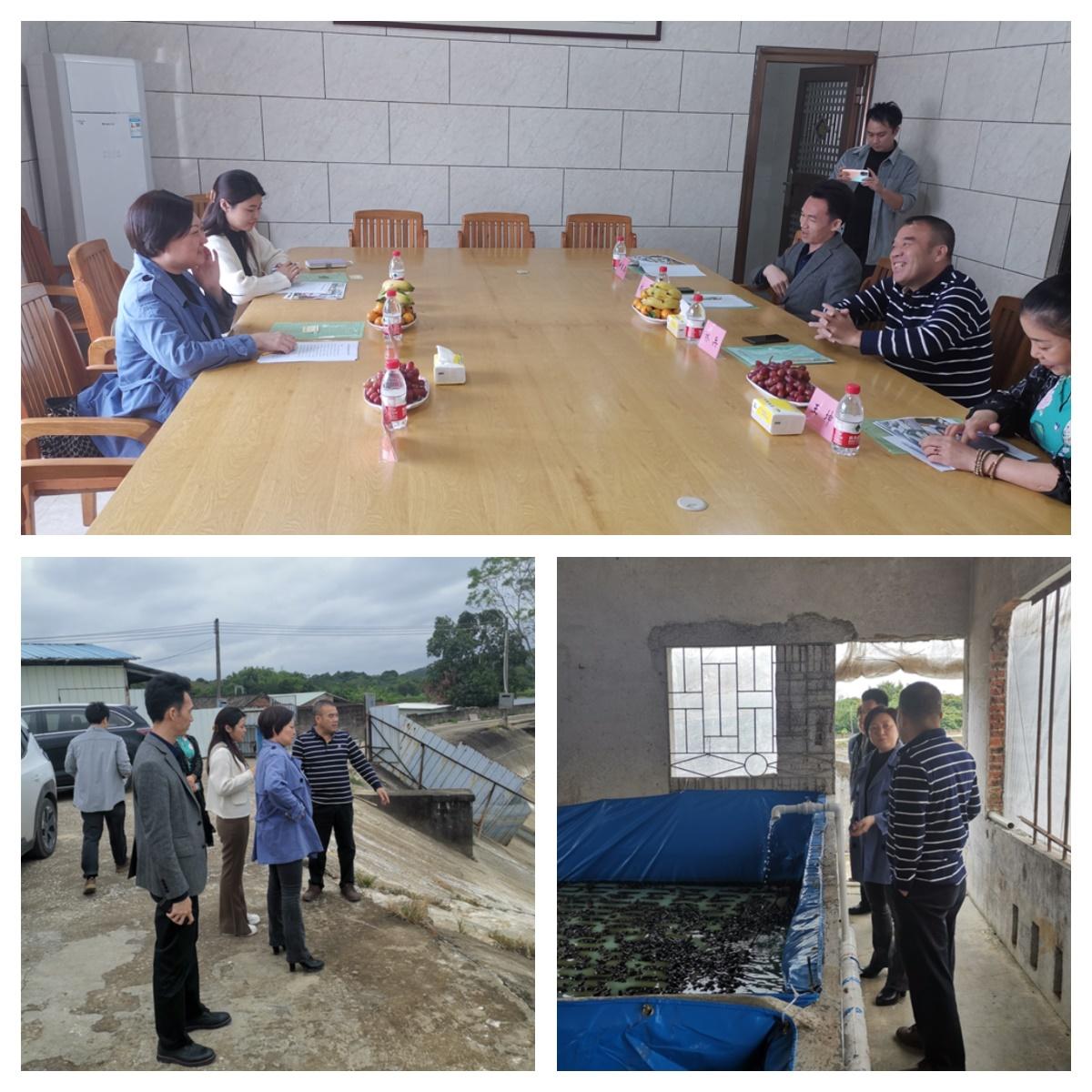 首页-PA集团有限公司官网入口