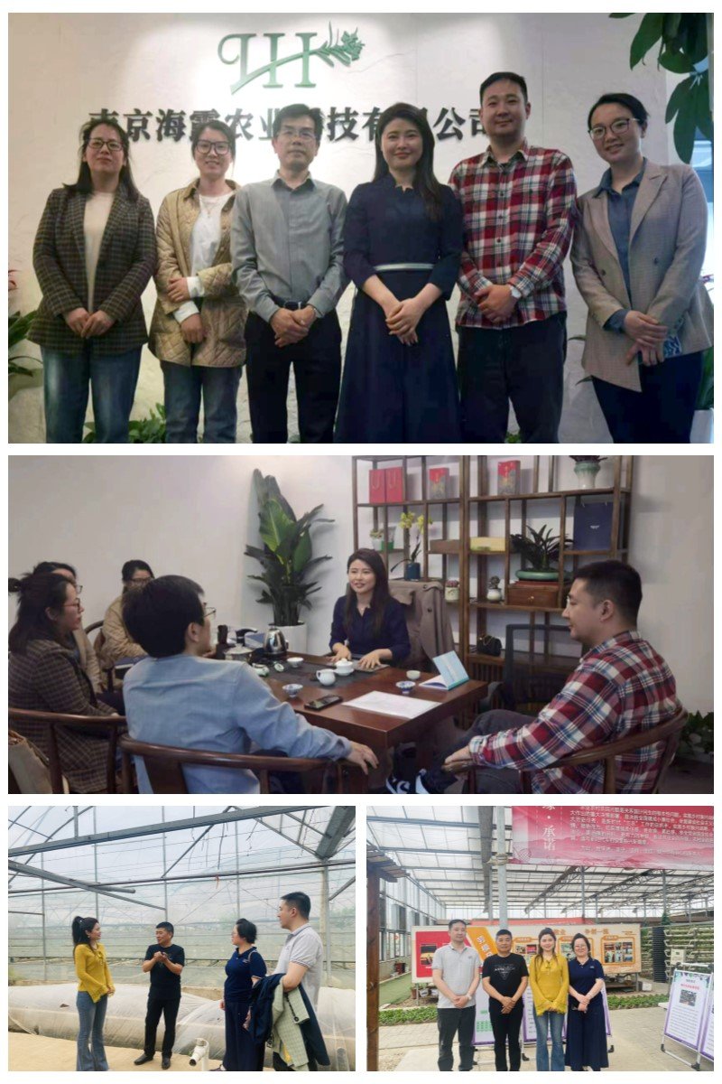 首页-PA集团有限公司官网入口