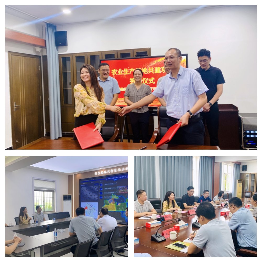 首页-PA集团有限公司官网入口