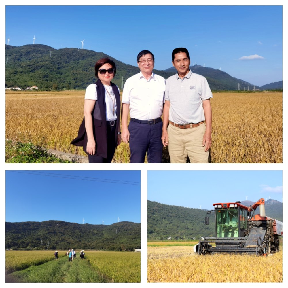 首页-PA集团有限公司官网入口