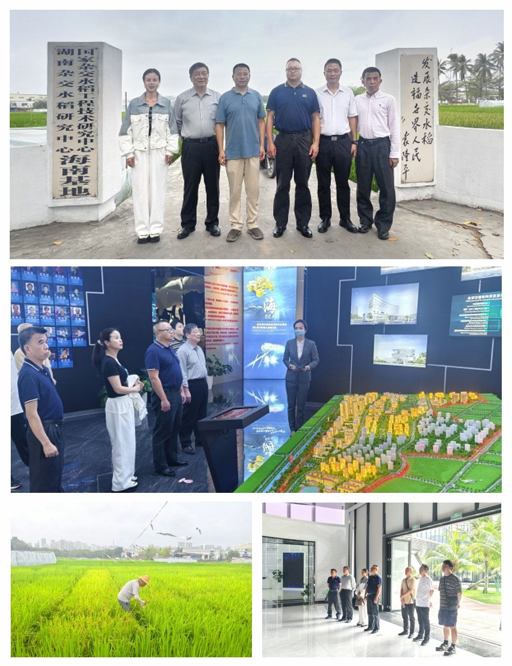 首页-PA集团有限公司官网入口