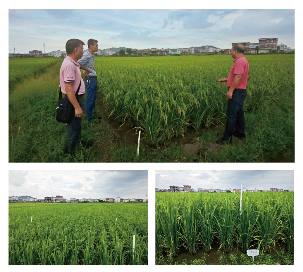 首页-PA集团有限公司官网入口