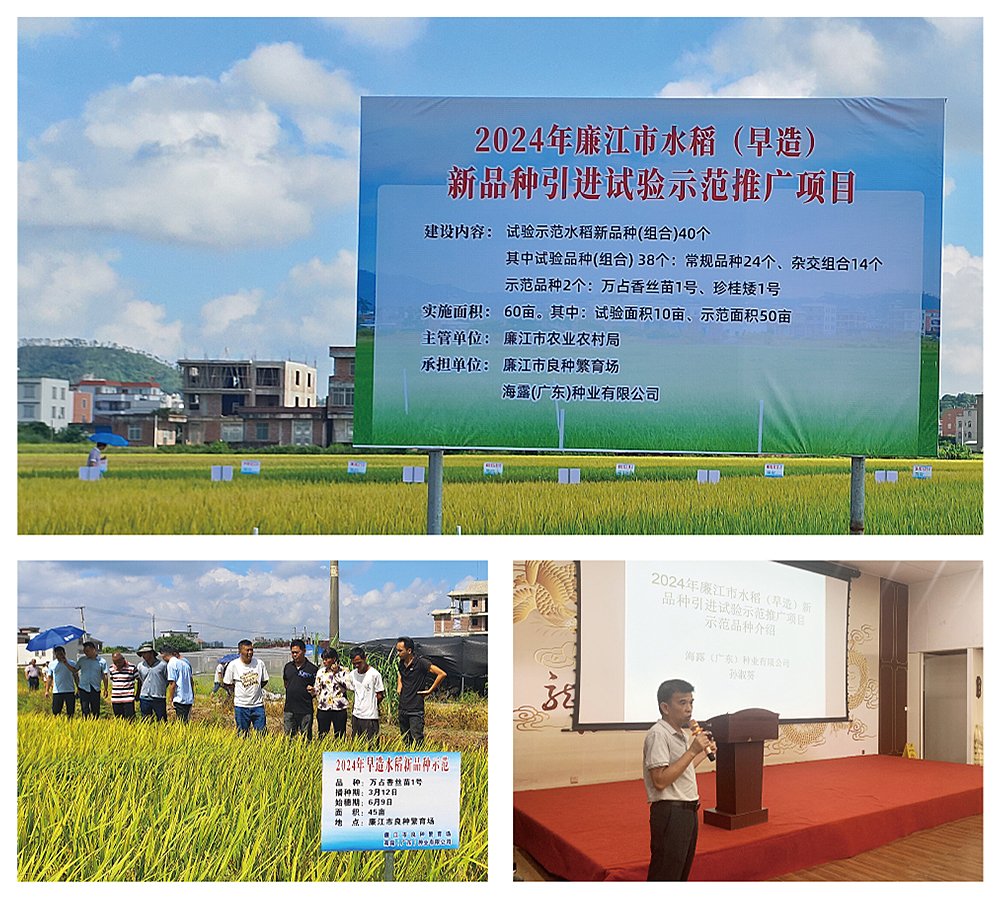 首页-PA集团有限公司官网入口