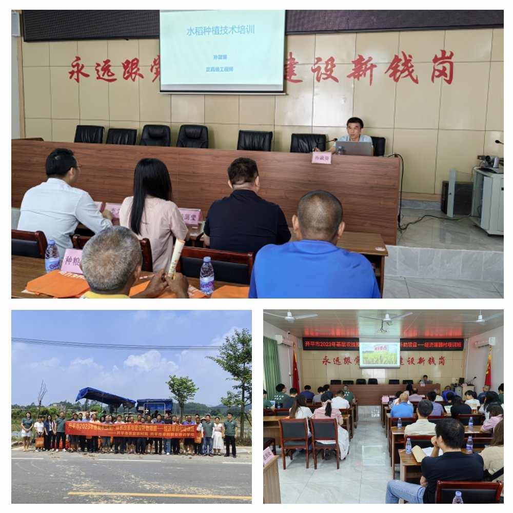 首页-PA集团有限公司官网入口