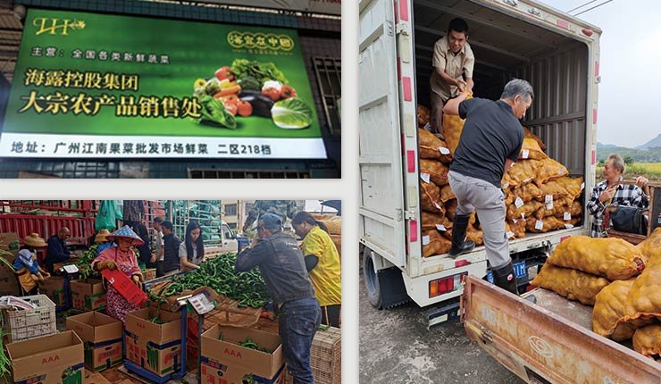 首页-PA集团有限公司官网入口