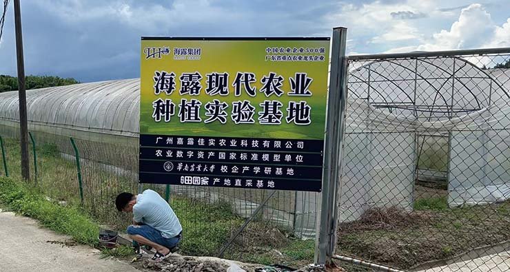 首页-PA集团有限公司官网入口