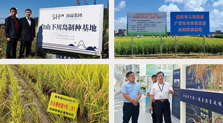 首页-PA集团有限公司官网入口