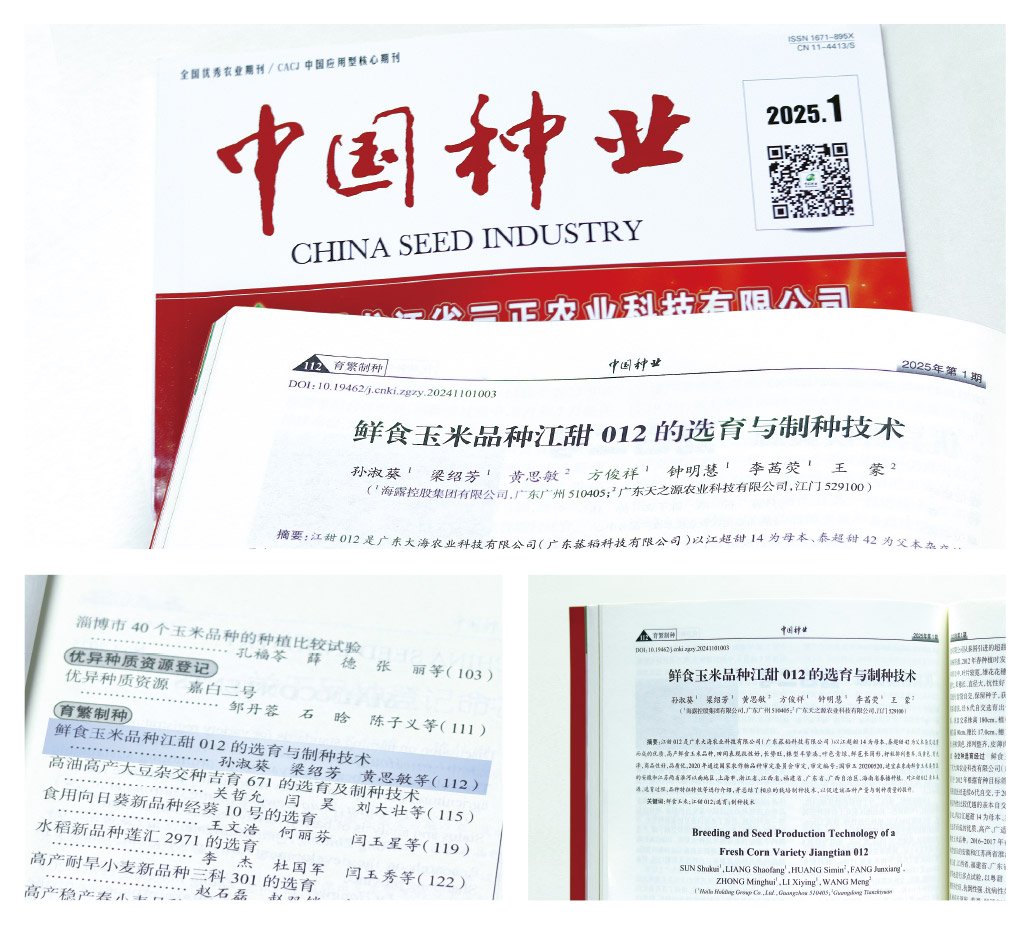 首页-PA集团有限公司官网入口