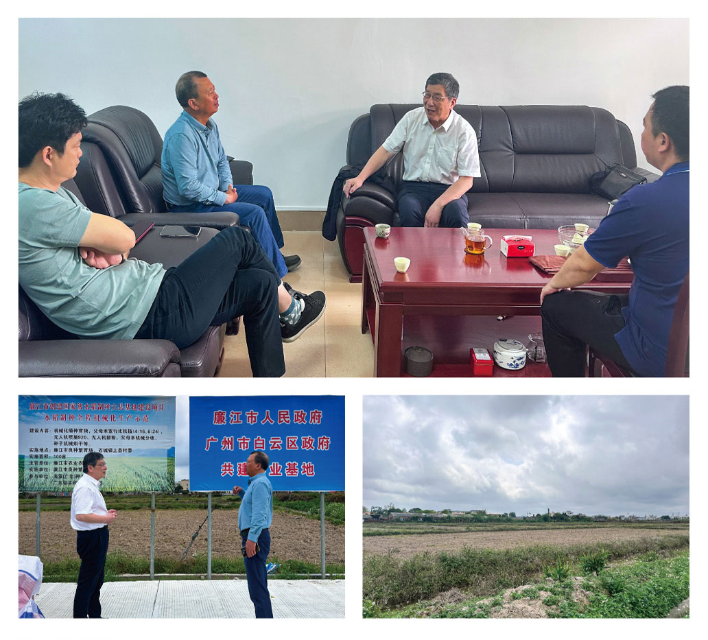 首页-PA集团有限公司官网入口