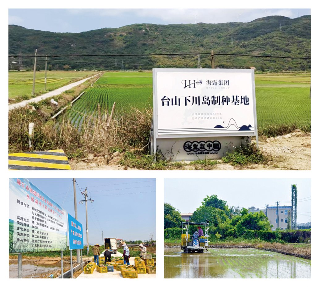 首页-PA集团有限公司官网入口