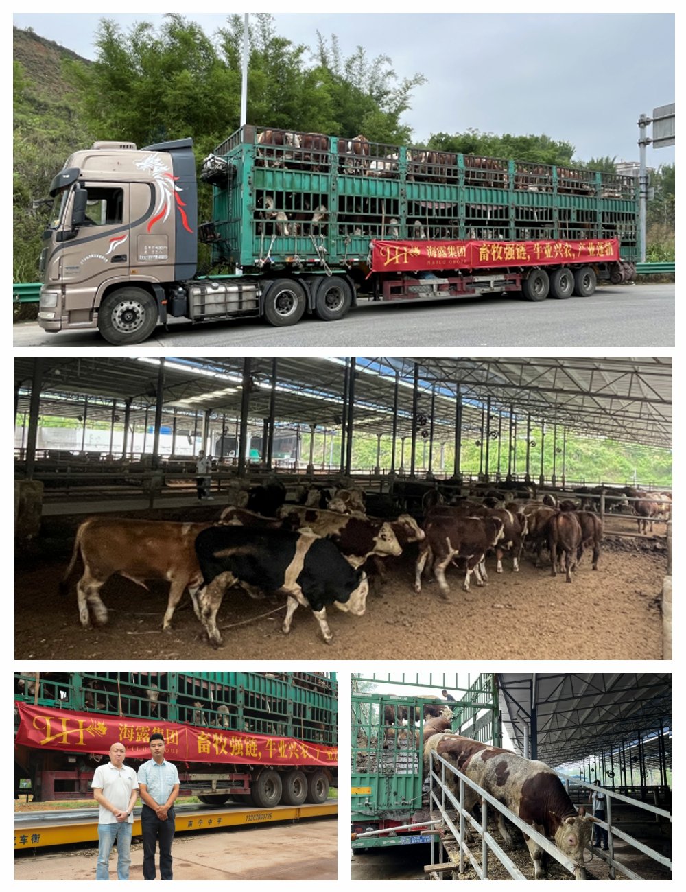 首页-PA集团有限公司官网入口