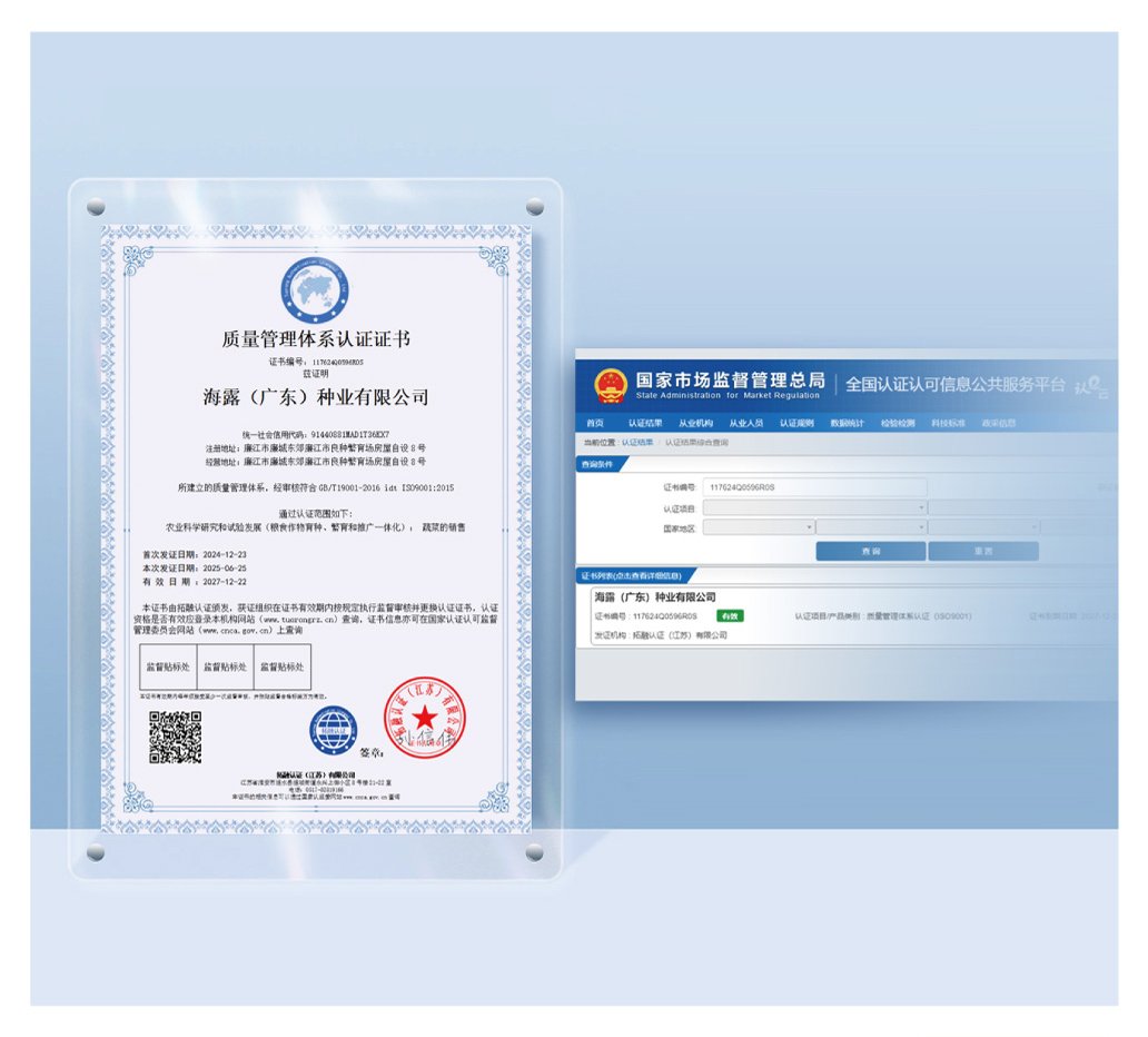 首页-PA集团有限公司官网入口