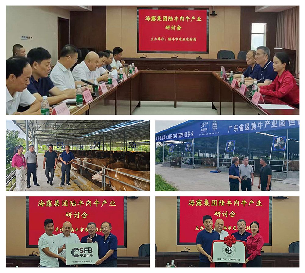 首页-PA集团有限公司官网入口