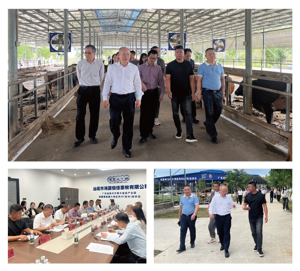 首页-PA集团有限公司官网入口